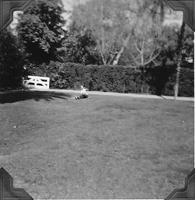 1964-frontyard1a.jpg (28433 bytes)